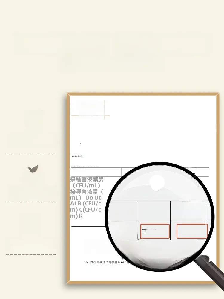 大人用の弁当箱は、どんなものにすべき？