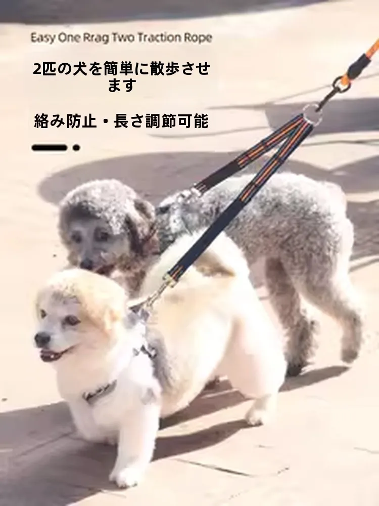 犬のお散歩グッズをコスパ良く揃える方法 - 絡まり防止二頭用ペットリードの選定基準