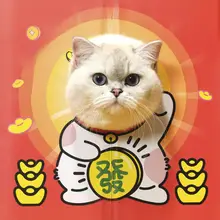 二重構造の段ボール製キャットハウス【爪研ぎ用・遊び道具】