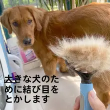 ペット用コーム【犬・猫用・毛玉取りブラシ・トイプードル・ゴールデンレトリバー向け】