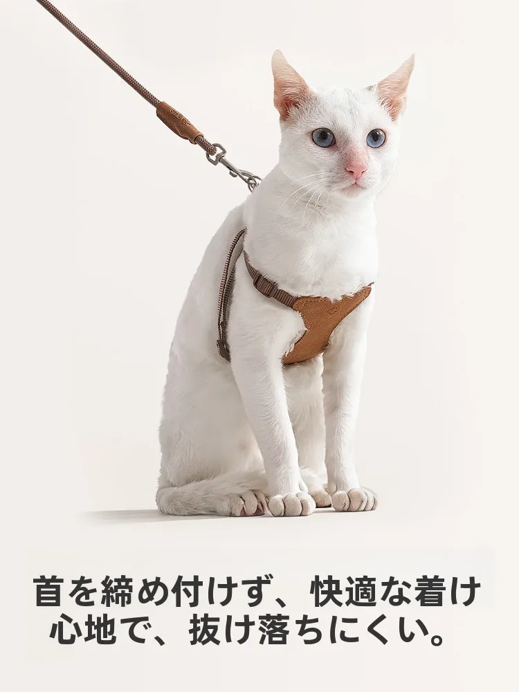 猫飼いが買ってよかったもの・悪かったもの正直に言う｜外出時の安全ガイド