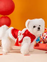 ペット用 犬服 タイスタイルの冬用衣装【虎頭デザイン・小型犬用・可愛い・二足タイプ】