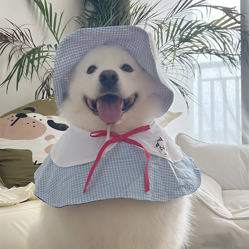 犬の涙やけケア用品の選び方とは？厳選4選で毎日の暮らしを守る
