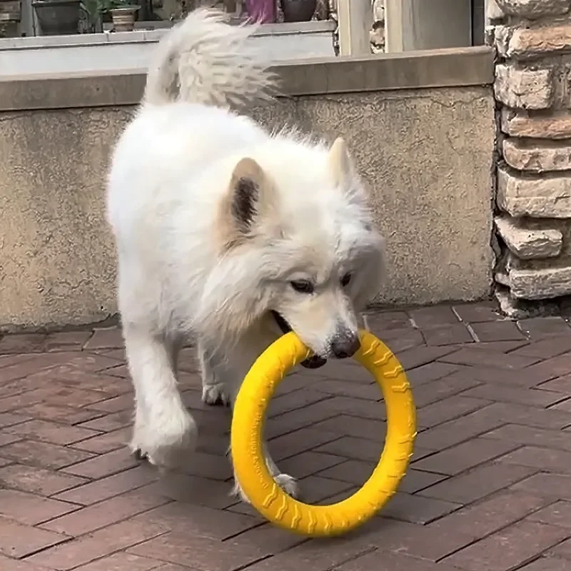 犬用トレーニングフリスビー【耐噛み性・遊び用ラリング・中大型犬・小型犬対応】