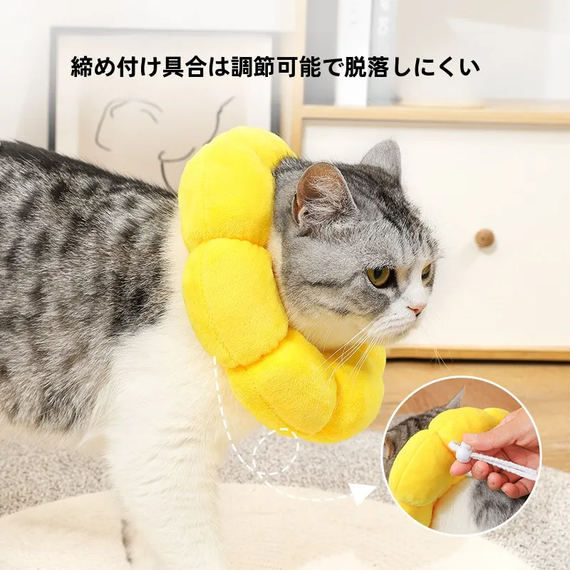猫飼いが買ってよかったもの・悪かったもの正直に言う - ペット用エリザベスカラーひまわりデザインの保護機能と仕組み