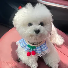 犬用外出リード【小型犬・ハーネス付き・チワワ・ポメラニアン対応】