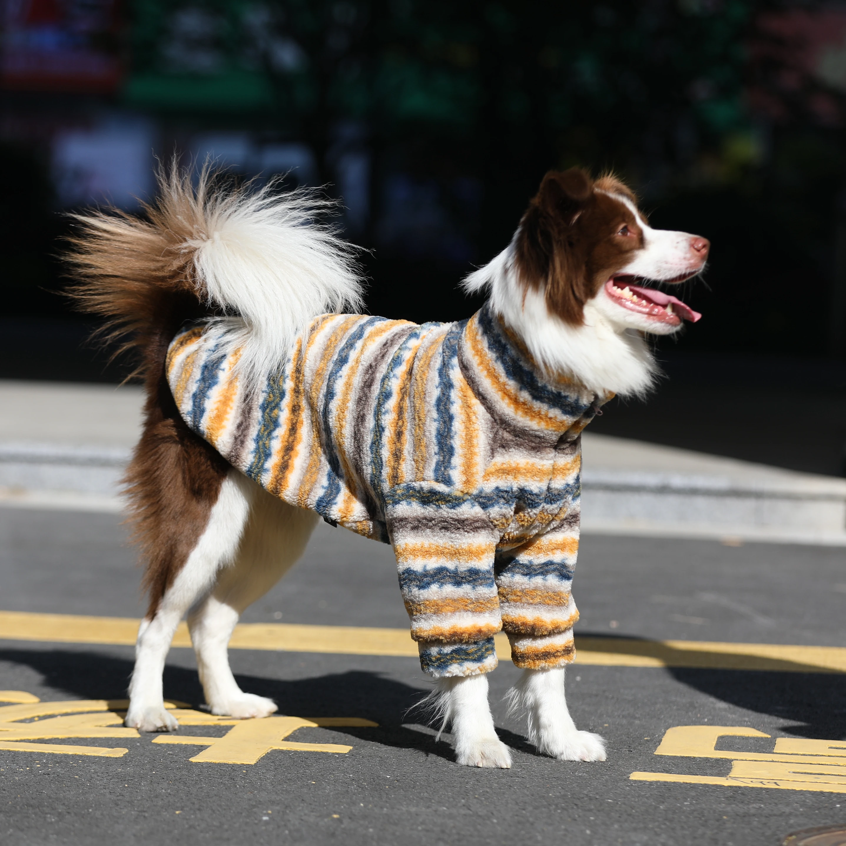 ボーダーコリーの寒さ対策に最適な大型犬用羊毛風ジャケット