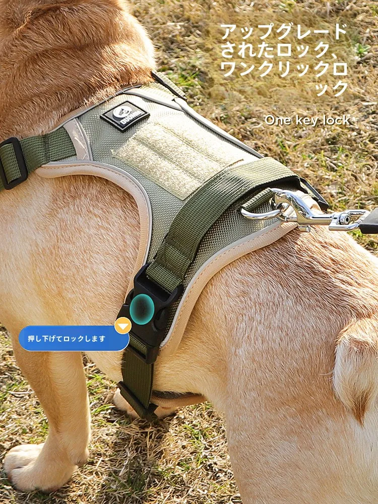 犬のお散歩グッズをコスパ良く揃える方法　ハーネス型リードの選び方徹底解説