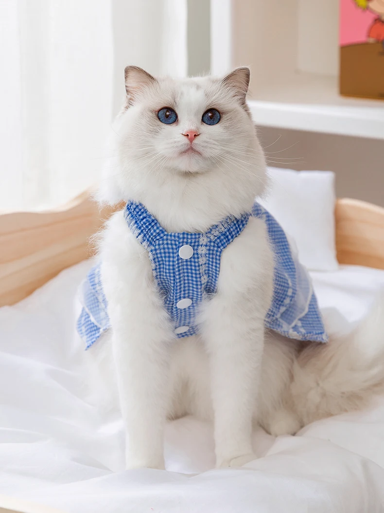 猫飼いが買ってよかったもの・悪かったもの正直に言う｜夏の快適さを実現するレースドレスの徹底解説