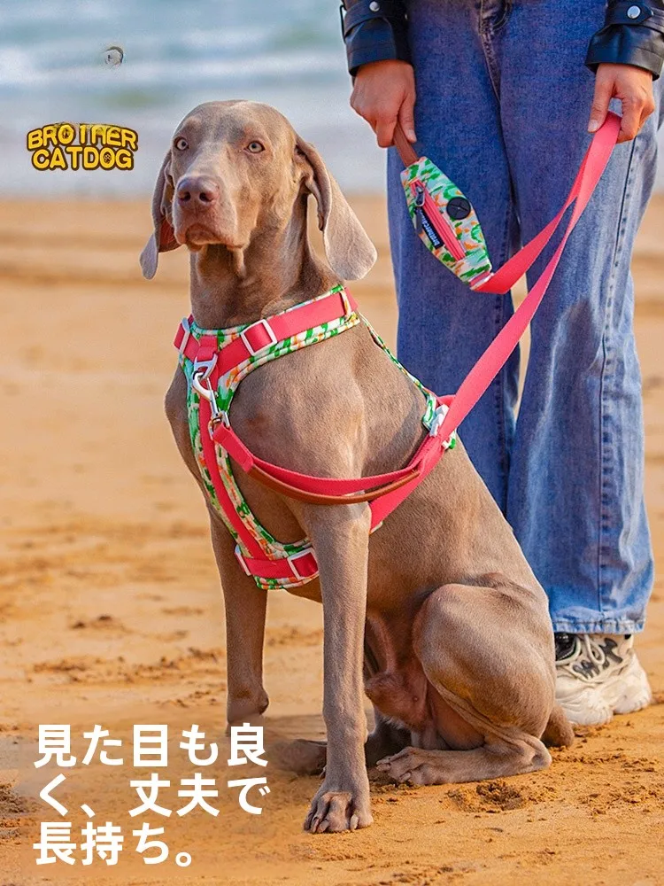 犬のお散歩グッズをコスパ良く揃える方法｜通気性とデザインのバランスを徹底解説