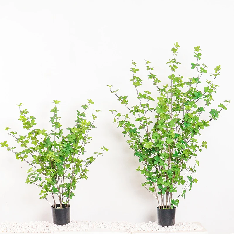 韓国インテリアを再現｜カフェ風部屋の作り方　吊り鐘風グリーン植物の役割とレイアウトガイド