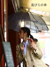 透明傘 長傘 レディース 軽量 シンプル 無地 おしゃれ インスタ映え 着回し