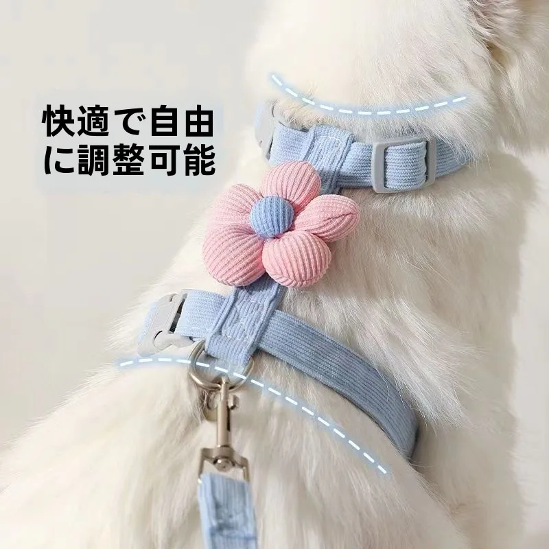 猫飼いが買ってよかったもの・悪かったもの正直に言う｜お散歩用ハーネスリードの完全ガイド