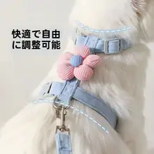 調整可能な猫用ハーネスリード【脱走防止・お散歩用】