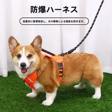 小型犬用ハーネスリード【コーギー・テディベア・幼犬対応・防爆設計】