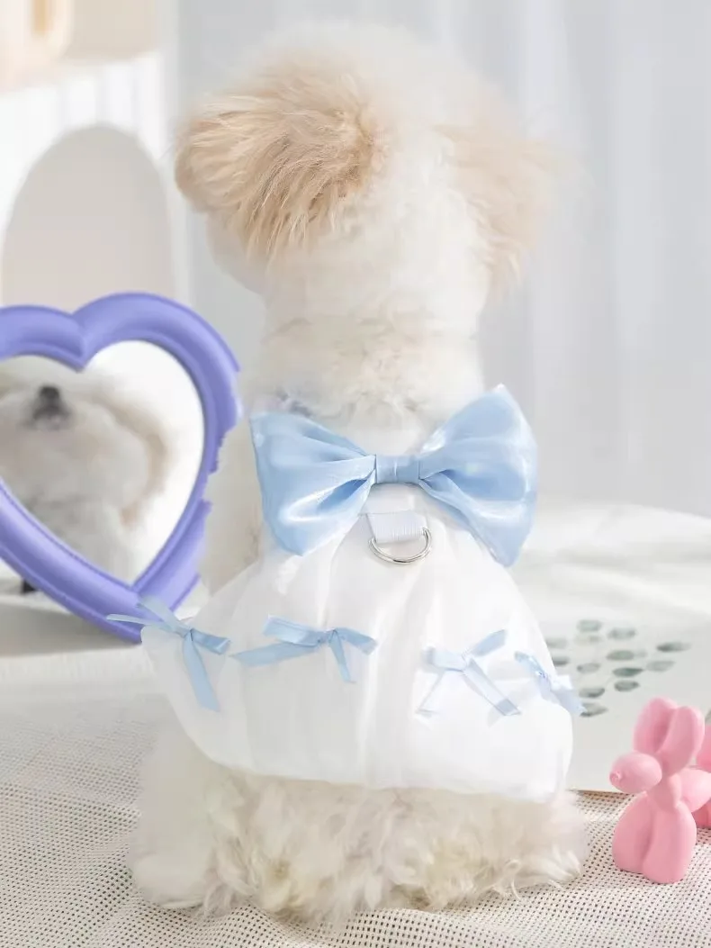 ハーネス付き犬服で散歩が楽になる理由：カラフルリボン付きキャミソールドレスの実用性と設計原理