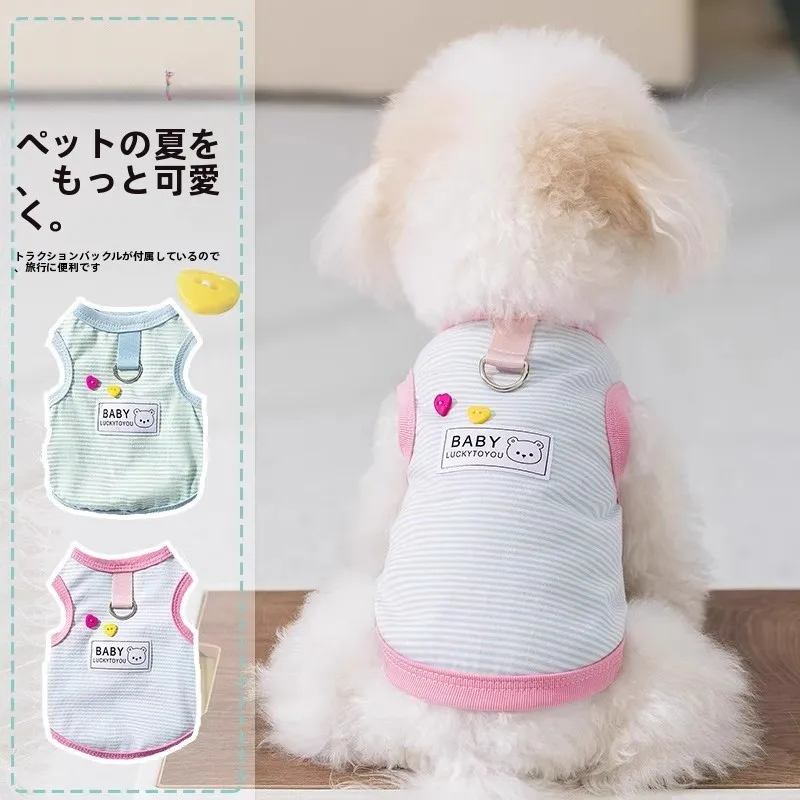 犬のお散歩グッズをコスパ良く揃える方法｜滑りにくいソールと柔らかさの実用性徹底解説
