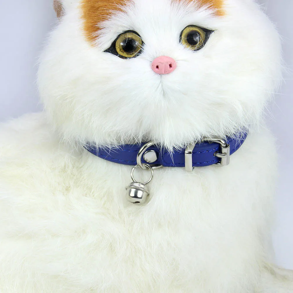 猫飼いが買ってよかったもの・悪かったもの正直に言う｜風に揺れるペットカラーの実測ガイド