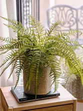 造花 シダ植物 フェイクグリーン プラスチック 葉 壁掛け インテリア リビング ダイニング ガーデニング