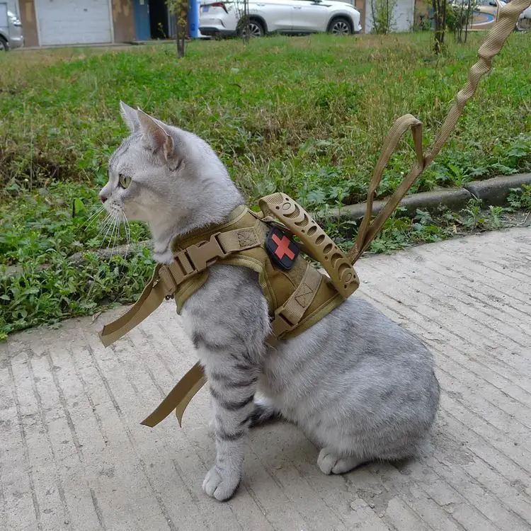 猫飼いが買ってよかったもの・悪かったもの正直に言う｜ハーネス選びの徹底解説