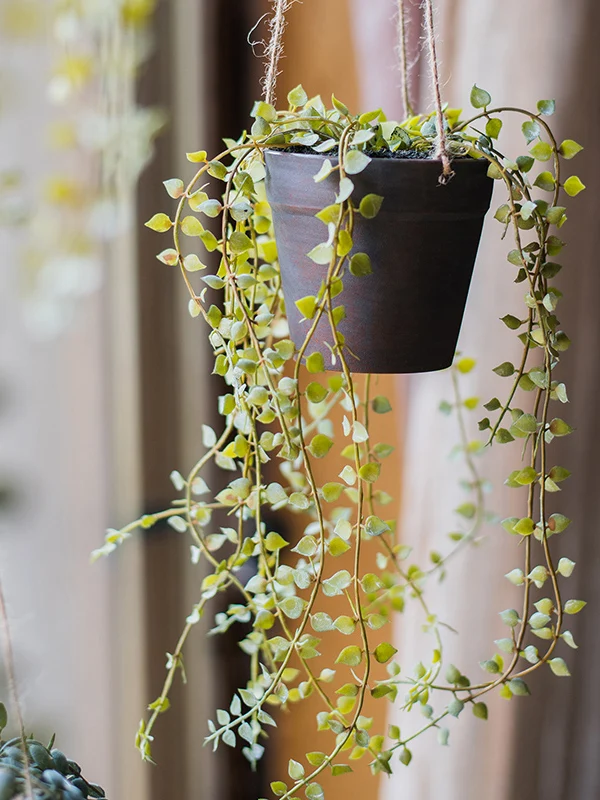 ウッドデッキに植える植物の目隠しとしてのフェイクフラワー鉢の選び方