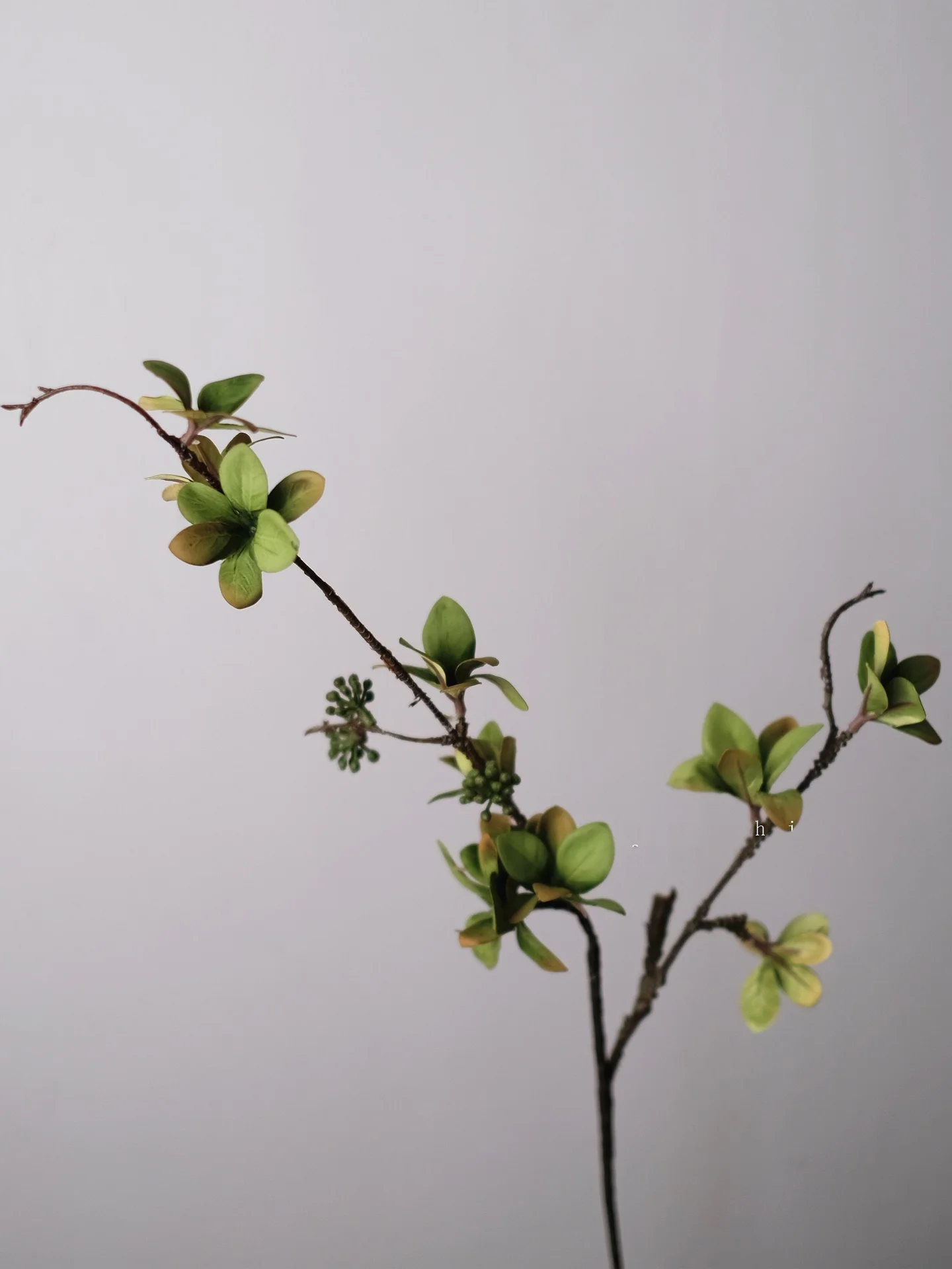 リアルな造花の果実付きブランチ装飾：輕奢風のリビング・ダイニングに最適なスタイル