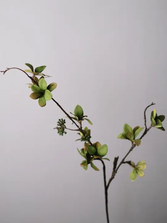 リアルな造花の果実付きブランチ装飾【リビング・ダイニング用】