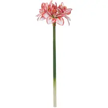 リアルな君子蘭の造花【リビング・カフェ風・インテリア飾り用】
