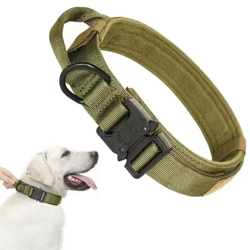 犬のお散歩グッズをコスパ良く揃える方法 - ハウンド犬用タクティカル首輪の機能とサイズ選定