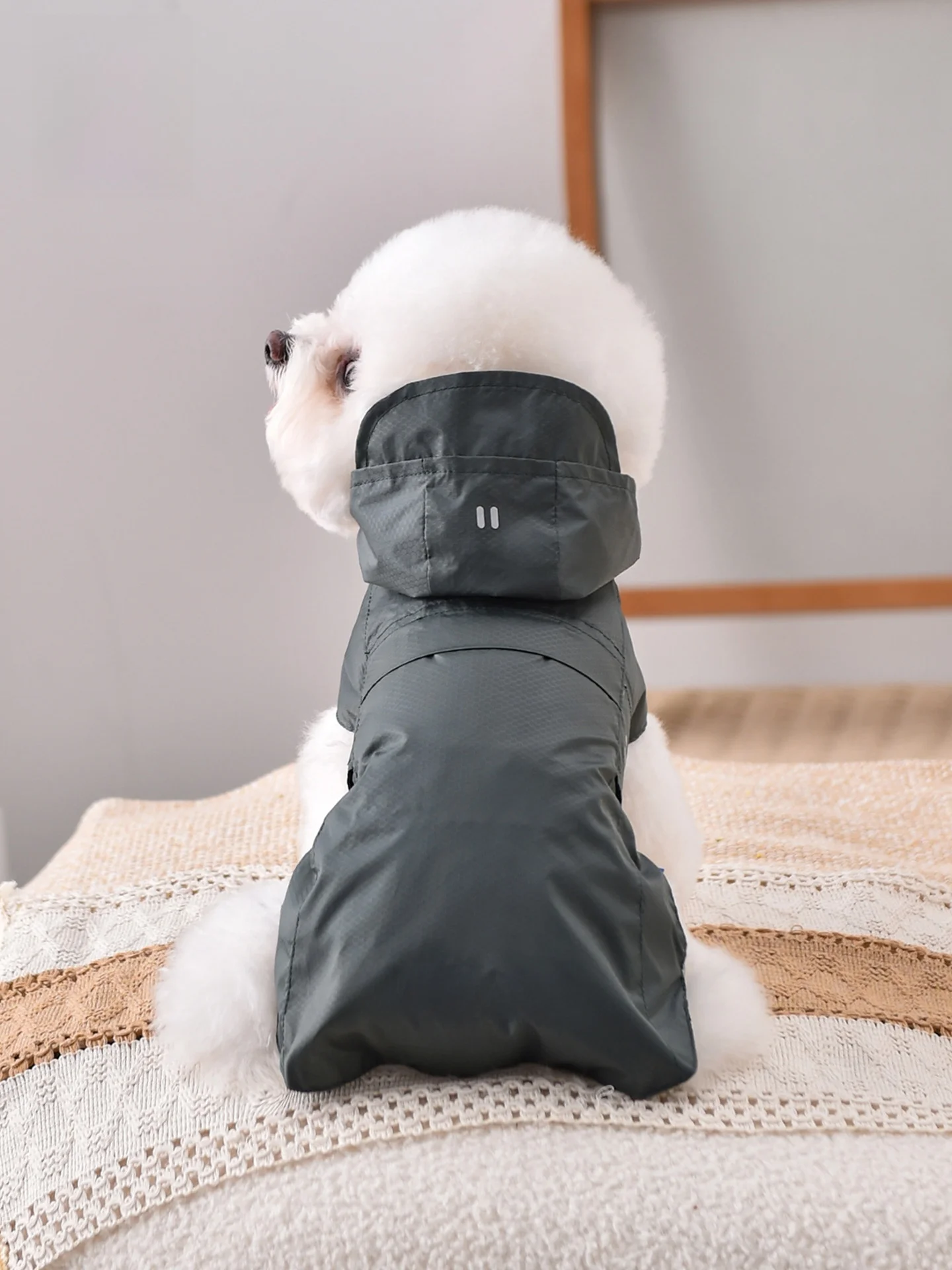 犬のレインコート：ハーネス穴付き・通気性と着脱の利便性を重視した実用モデル