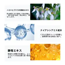 保湿滋潤 エッセンスパウダー【透明感のある仕上がり・高光効果】