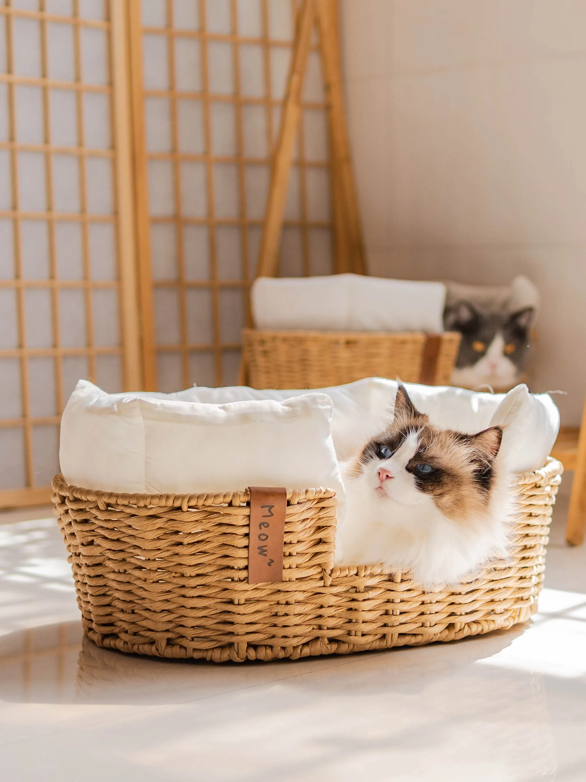 猫のための家 はどんなもの？厳選3選で安心・快適な暮らしを実現する