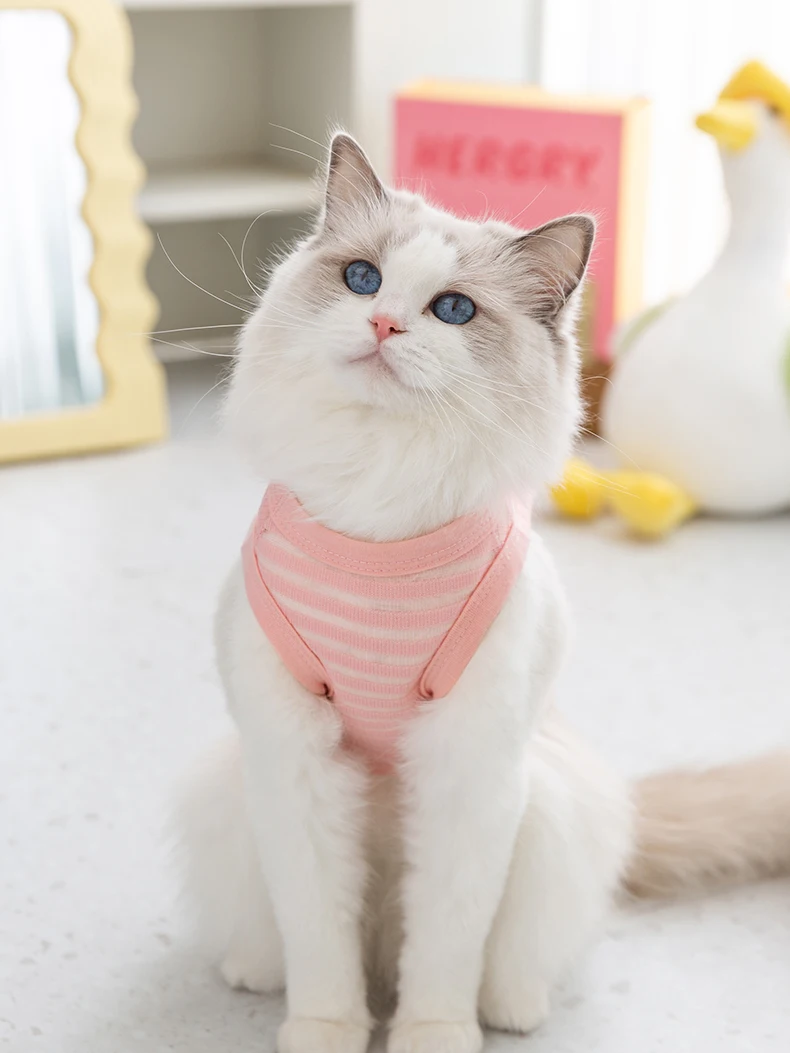 猫飼いが買ってよかったもの・悪かったもの正直に言う | 夏用ベストの通気性と防毛設計
