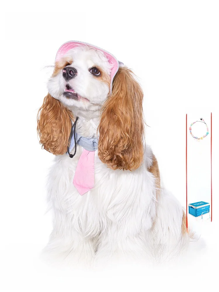 シリコンキャップとは何か：犬用ハット風ネクタイ付きキャップの実用性と仕組み