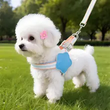 小型犬用 かわいい配色の調整可能な引き紐【防爆・胸背中用】