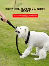 大型犬用伸縮式犬用首輪とリード【コーギー・迷子防止・安全設計】
