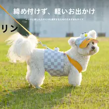 小型犬用Y型ハーネスとリードセット【春秋用・通気性素材】