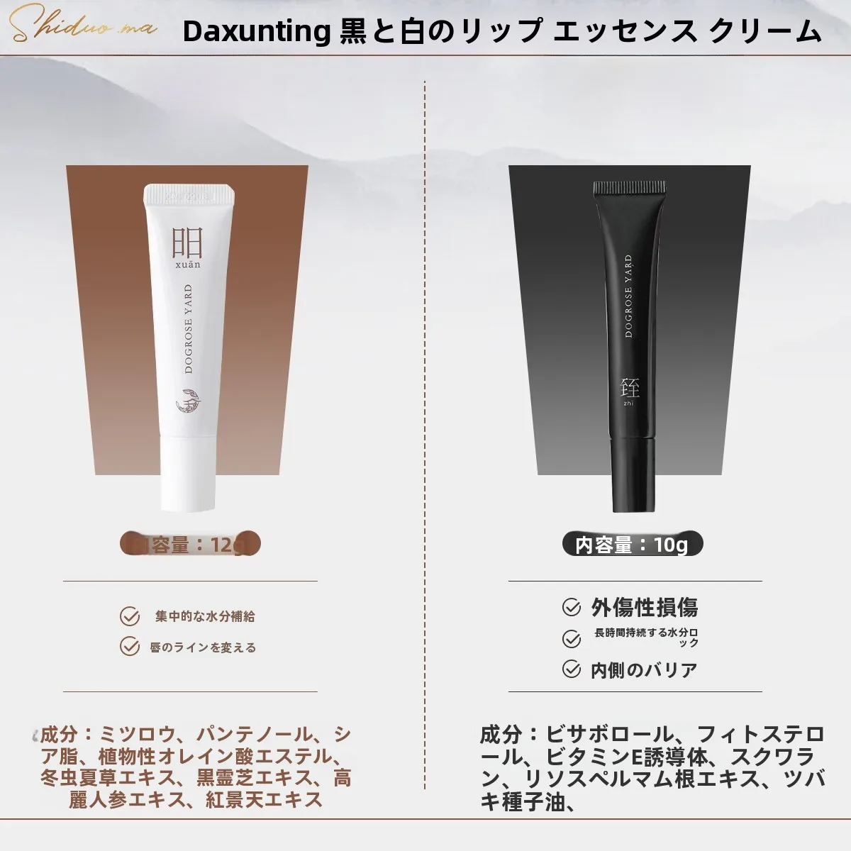 ドルガバ リップ 公式が本当に効くの？実際の使い心地と選び方を徹底解説