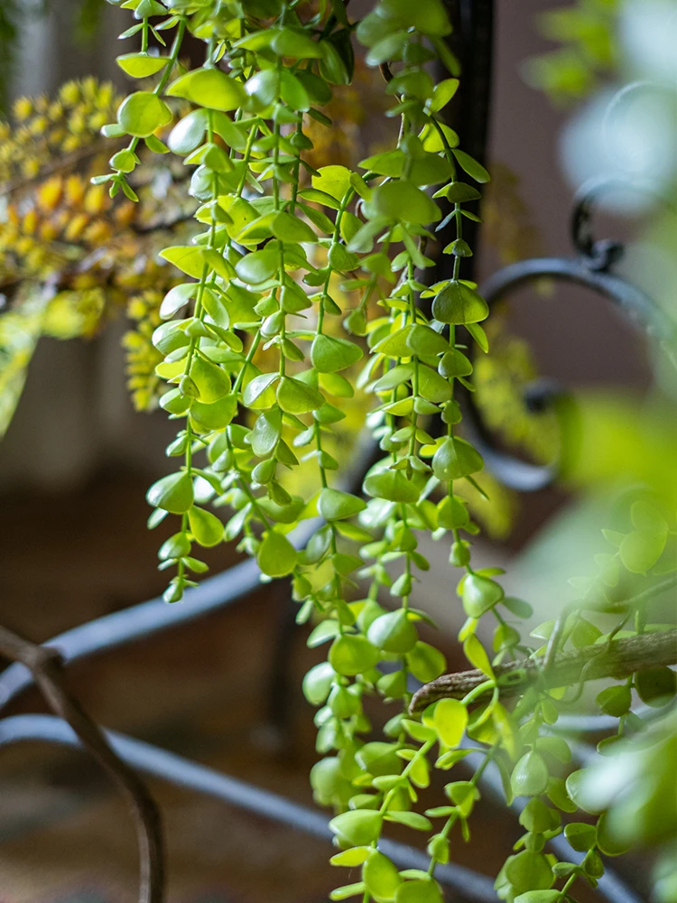 フェイクグリーンの吊り下げ植物を選ぶべき理由は？リアルと比べてどんな違いがあるの？