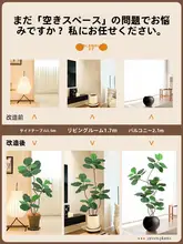高級感あふれるフィ・リリフィクスの観葉植物【インテリア用・鉢付き・高級デザイン】