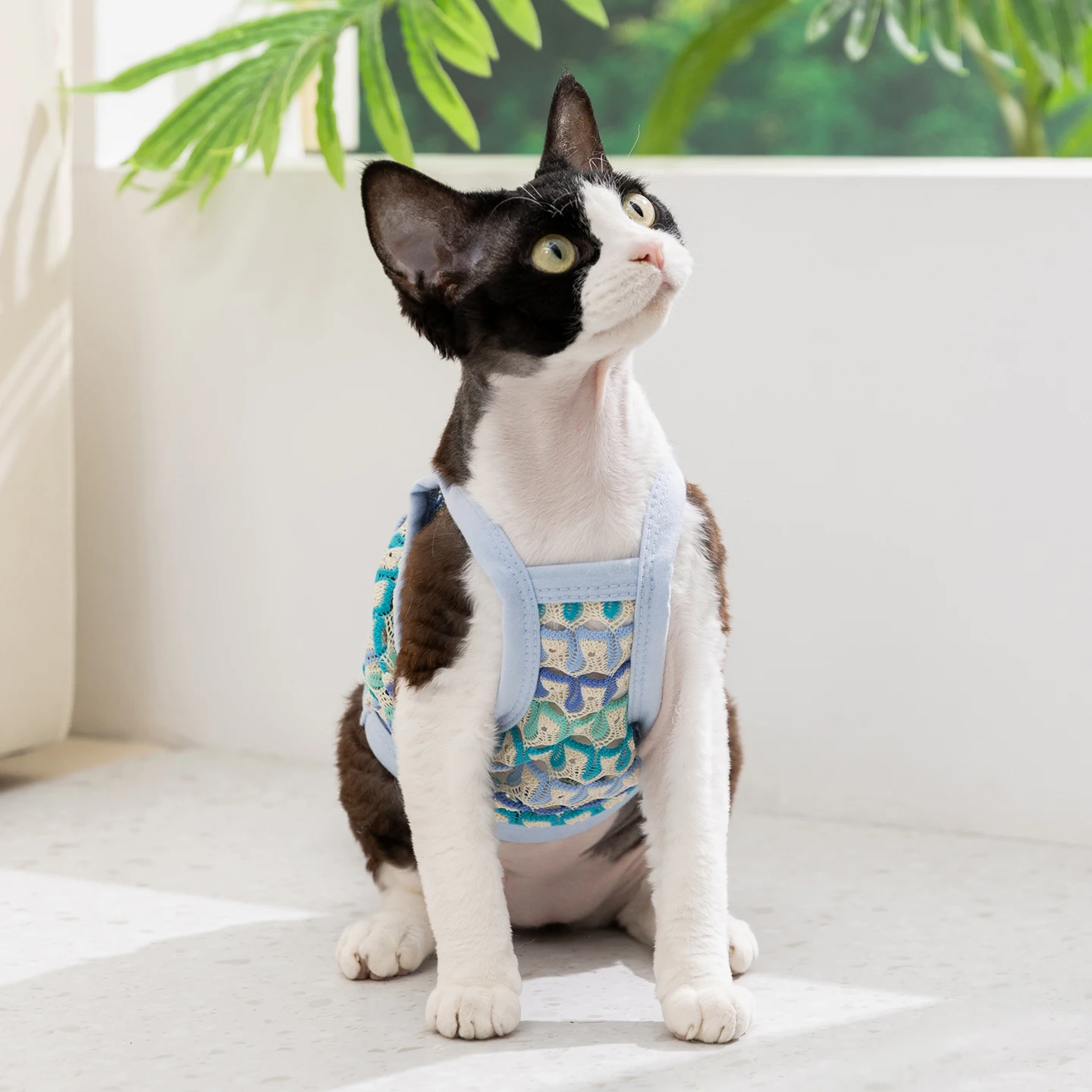 猫用衣服【立体花柄・薄手・通気性の良いデザイン】：一人暮らしに最適な夏の着用シーンとは