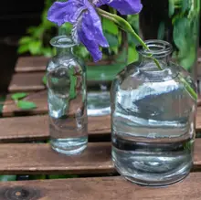 北欧風 小口透明ガラス水耕植物花瓶【インテリア・花挿し用】