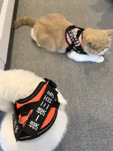 可調節の猫用牽引ロープ【かわいいベストスタイル・脱走防止】