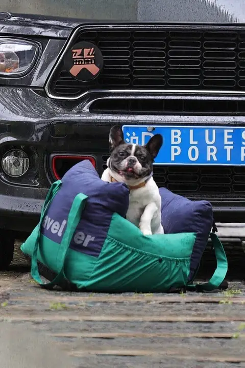 ペットカー用ベッド 中型犬 小型犬用ベッド 持ち運び可能 安全な移動 簡単取り付け