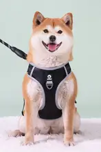 犬用ハーネス付きリード【中大型犬向け・柴犬対応・脱走防止】