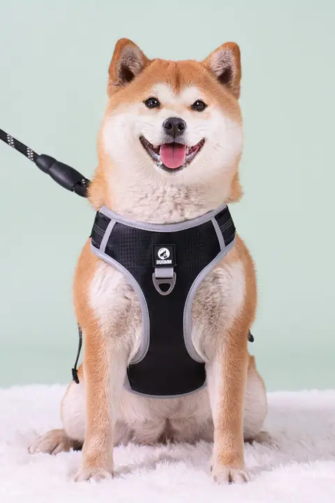 犬用ハーネス付きリード【中大型犬向け・柴犬対応・脱走防止】