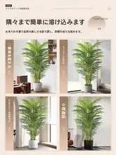 インテリア用 大型フェイク植物 散尾葵【置き型・リビング装飾】