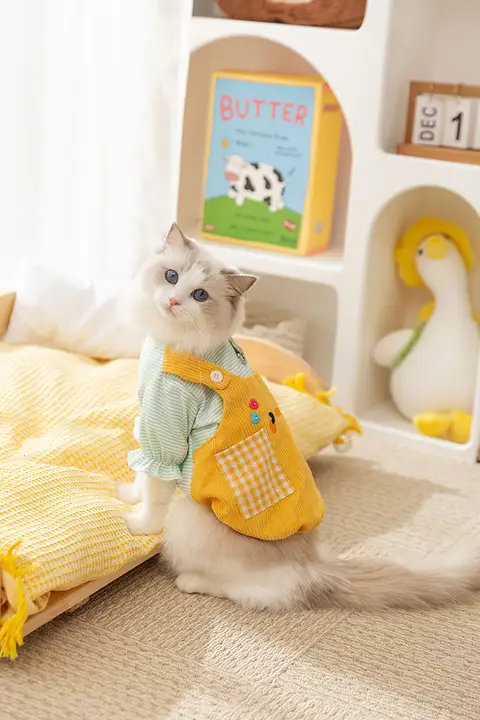 ペット用 猫用衣類【春秋用・ポケット付き・2本足用・ブルーの短毛種対応】