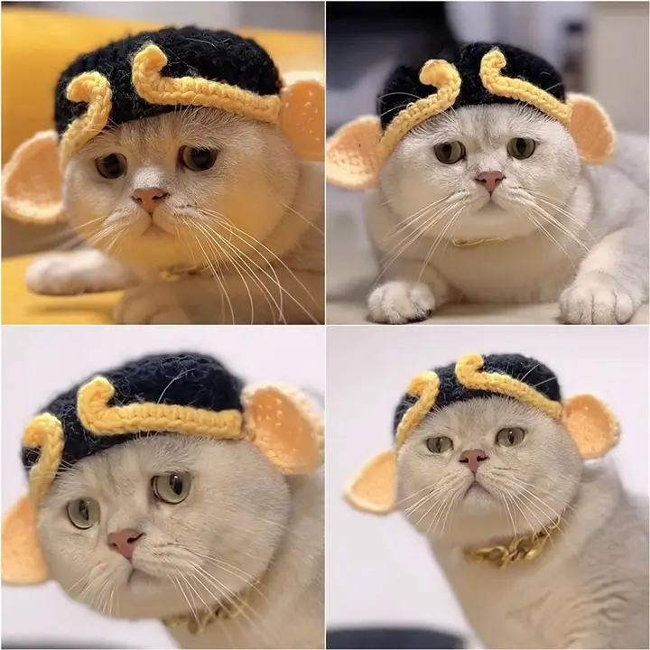 手作りニットペット帽子【猫用・犬用・お正月・カエルデザイン】
