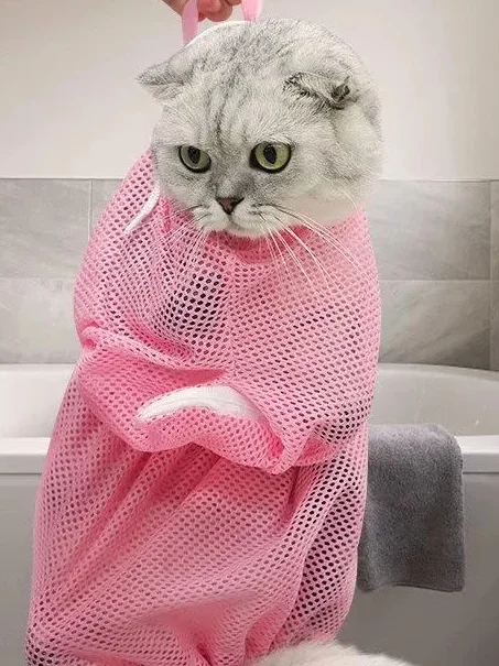 猫用バスバッグ多目的脱走防止調節可能：防災グッズとしての実用性と使い勝手の検証